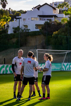 Assistant coach Niklas Egnell, Assistant coach Johanna