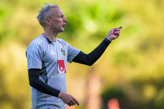 Assistant coach Niklas Egnell of the Swedish women's