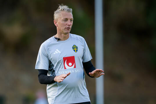 Assistant coach Niklas Egnell of the Swedish women's