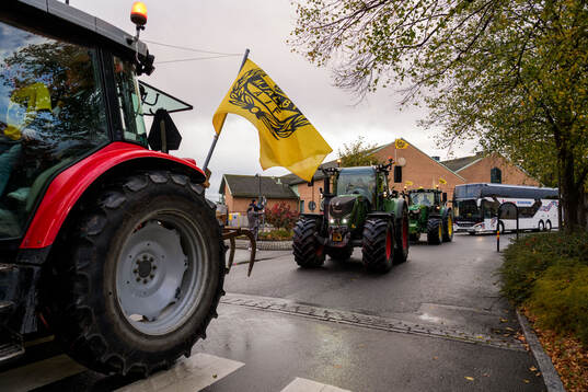 Traktorer med Mjällby-flaggor när laget välkomnas hem av