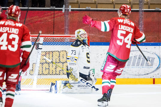 Södertäljes målvakt Love Härenstam deppar