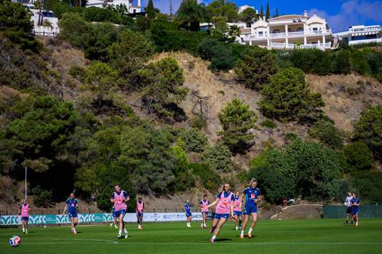 General view of the Swedish women's national football team