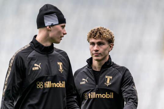Daniel Gudjohnsen and Hugo Bolin