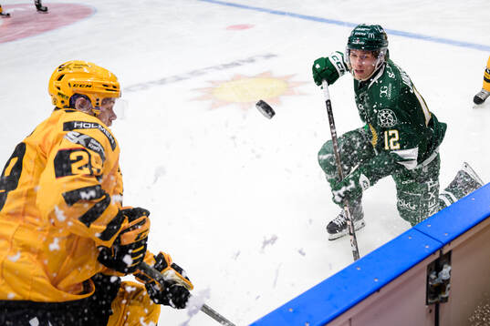 Skellefteås Mikkel Aagaard och Färjestads Christoffer