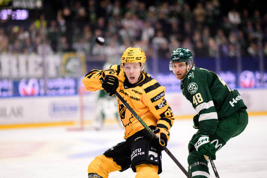 Skellefteås Mikkel Aagaard och Färjestads Filip Roos