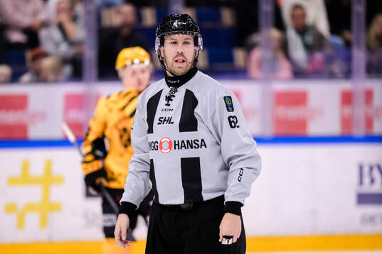linjedomare Peter Almerstedt