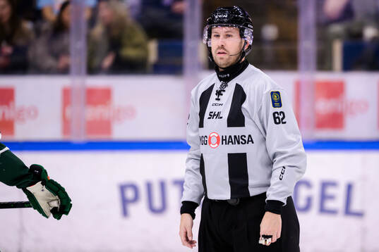linjedomare Peter Almerstedt