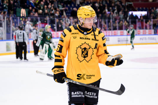 Skellefteås Rickard Hugg deppar