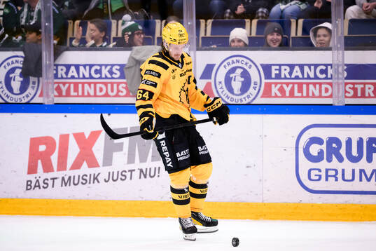 Skellefteås Jonathan Pudas deppar