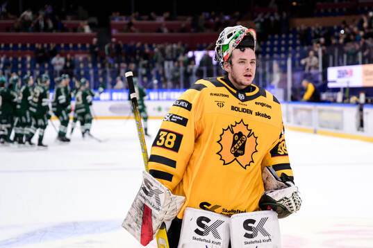 Skellefteås målvakt Strauss Mann deppar