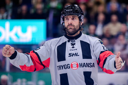 Domare Mikael Sjöqvist