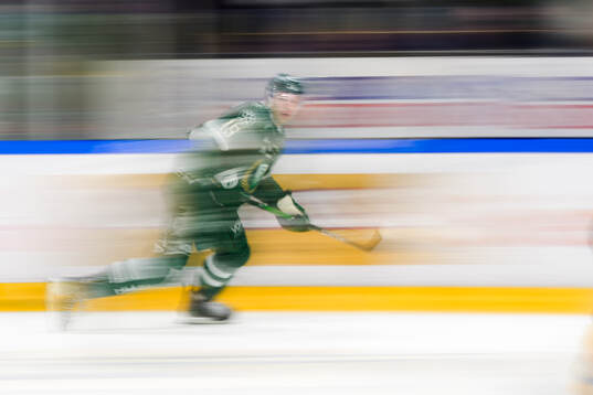 Färjestads Emil Alba