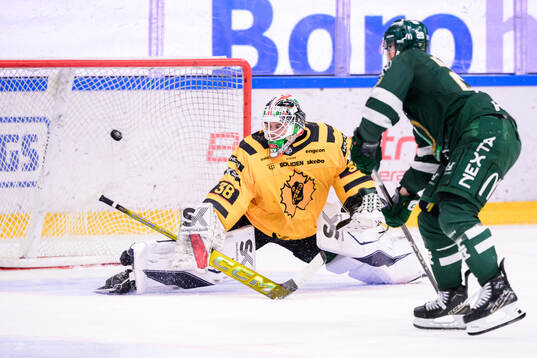 Skellefteås målvakt Strauss Mann och Färjestads Oskar