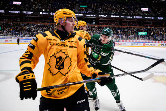 Skellefteås Jonathan Johnson och Färjestads Joakim Nygård