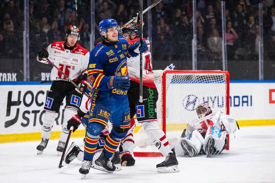 Djurgårdens Håvard Salsten jublar