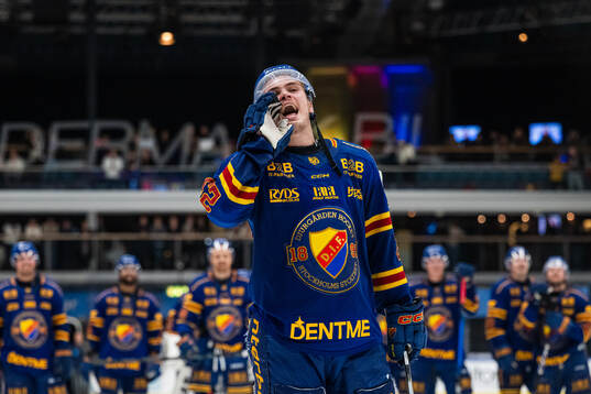 Djurgårdens Håvard Salsten jublar