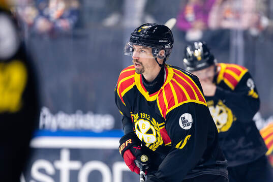 Brynäs Anton Rödin