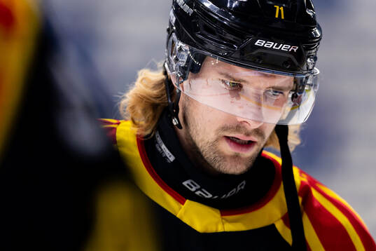 Brynäs Axel Jonsson-Fjällby