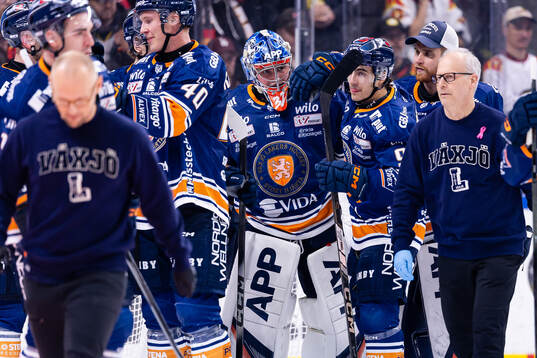 Växjös målvakt Ludvig Persson jublar