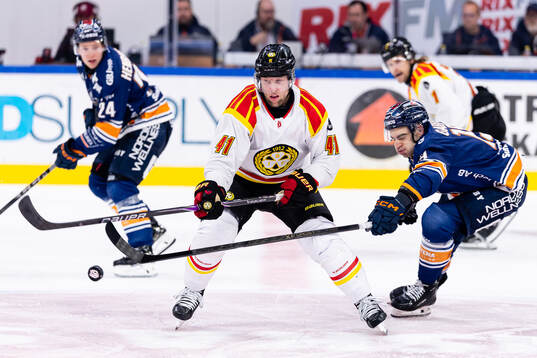 Brynäs Greg Scott och Växjös Reid Gardiner