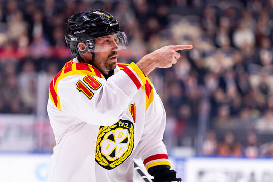 Brynäs Anton Rödin
