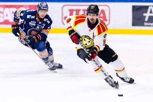 Brynäs Anton Rödin