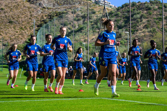 Players of the Swedish women's national football team at a