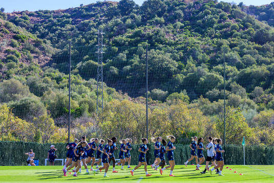 Players of the Swedish women's national football team at a
