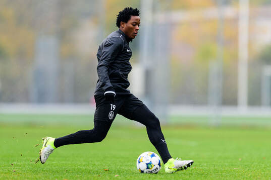 Maxwell Ozoemena