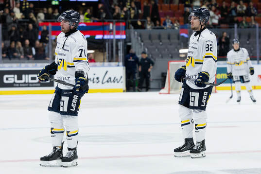 HV71s Lukas Rousek och Santeri Hatakka deppar