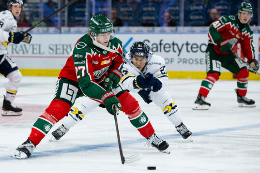 Frölundas Theodor Niederbach och HV71s Jonathan Ang