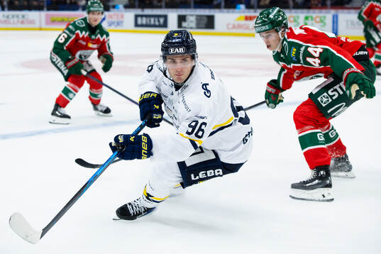 HV71s Nikola Pasic
