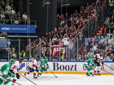 Malmös supportrarna