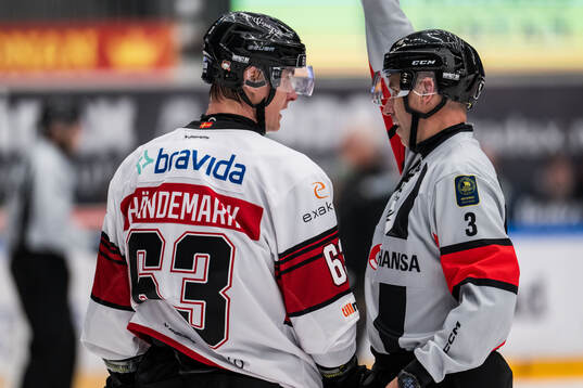 Malmö Redhawks Fredrik Händemark i samtal med domaren