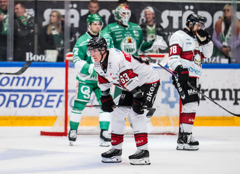 Malmö Redhawks Fredrik Händemark deppar