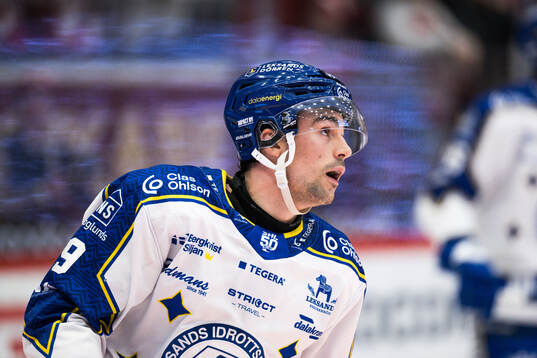 Leksands Gabriel Fortier