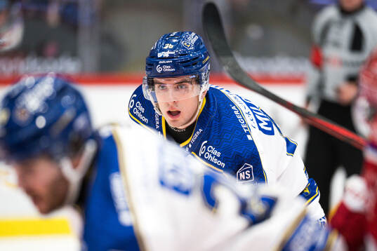 Leksands Stefan Milosevic