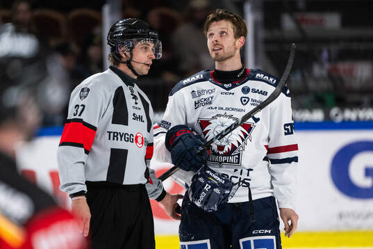 Domare Johan Wedin och Linköpings Christoffer Ehn