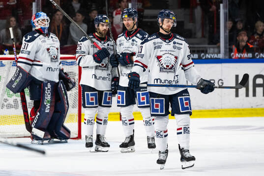 Linköpings Adam Hofbauer