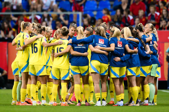 Players of Sweden