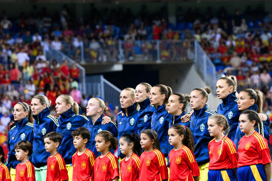 Players of Sweden