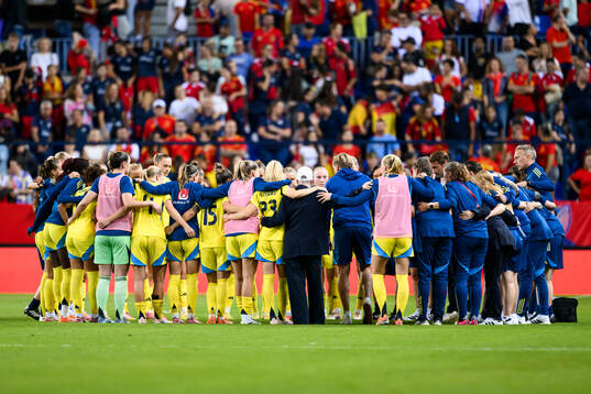 Players of Sweden