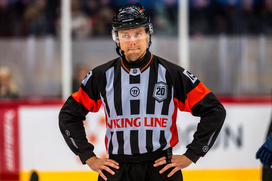 Domare Robin Forslund
