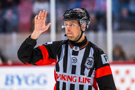 Domare Robin Forslund
