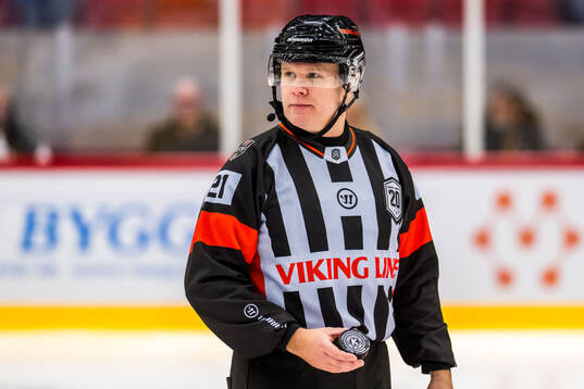 Domare Anders Sandahl