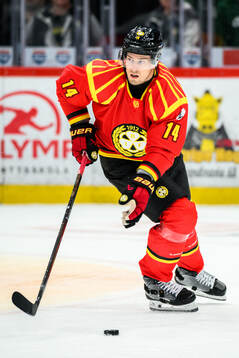 Brynäs Robert Hägg