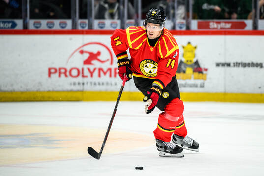Brynäs Robert Hägg