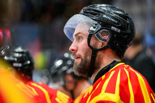 Brynäs Johan Larsson