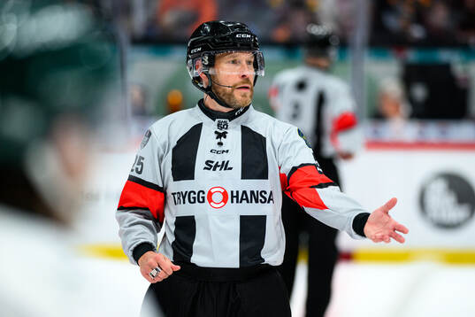 Domare Tobias Björk