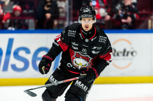 Malmö Redhawks Sebastian Wännström